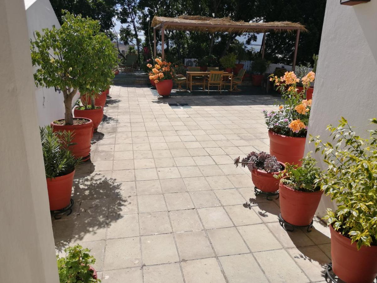 فندق آيتانا Oaxaca المظهر الخارجي الصورة
