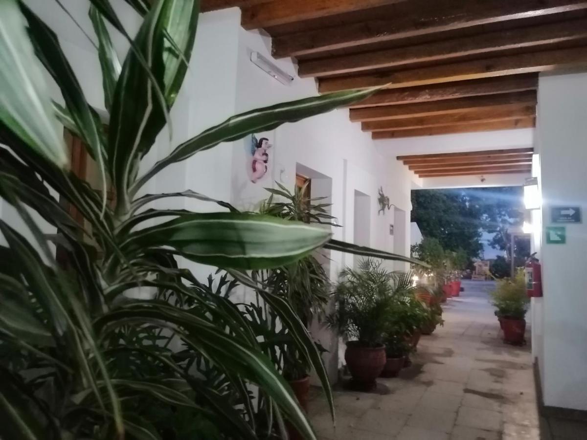 فندق آيتانا Oaxaca المظهر الخارجي الصورة